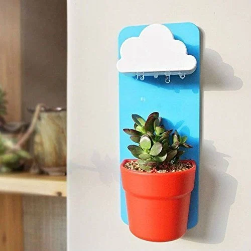 Cloud Pot Rainy Pot Wall Mounted Flower Pot