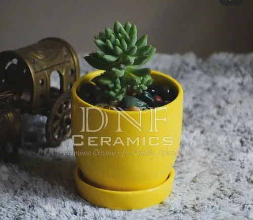 Ceramic Pot With Plate