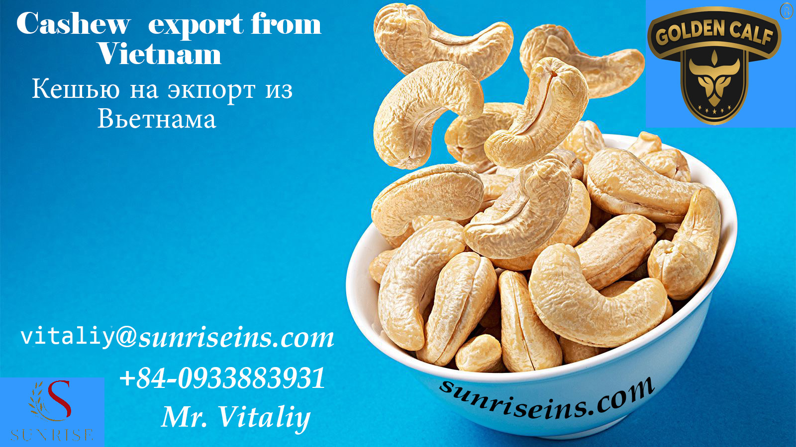 Cashew of Vietnam