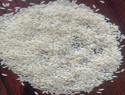 IR 64 Non Basmati Rice