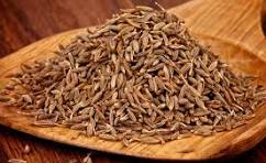 European Quality Bold Cumin Seeds