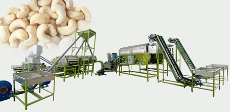 Nuts Processing Machine