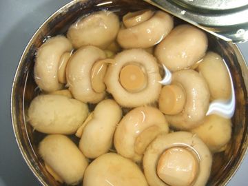 White Fresh Whole Canned Marinated Mushroom