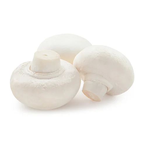 White Button Mushroom