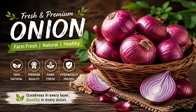 Onion