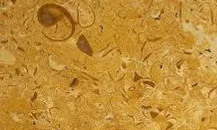Jaisalmer Yellow Marble