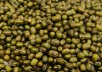 Green Moong