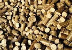 Groundnut Biomass Briquettes