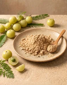 Amla Dehydrated Powder