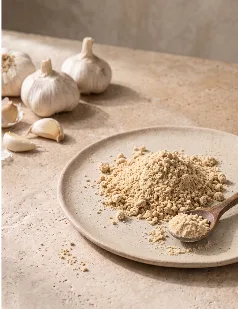 Garlic Dehydrated Powder